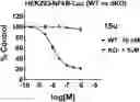 Fig. 01 - Bicyclic pyridine compositions and methods of using the same for cancer therapy