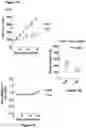 Fig. 13 - Bicyclic pyridine compositions and methods of using the same for cancer therapy