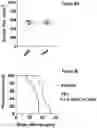 Fig. 15 - Bicyclic pyridine compositions and methods of using the same for cancer therapy