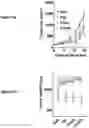 Fig. 19 - Bicyclic pyridine compositions and methods of using the same for cancer therapy