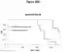 Fig. 22 - Bicyclic pyridine compositions and methods of using the same for cancer therapy