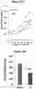 Fig. 23 - Bicyclic pyridine compositions and methods of using the same for cancer therapy