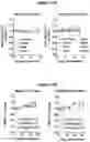 Fig. 25 - Bicyclic pyridine compositions and methods of using the same for cancer therapy