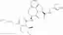 Fig. 19 - GRANZYME B DIRECTED IMAGING AND THERAPY