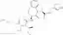 Fig. 20 - GRANZYME B DIRECTED IMAGING AND THERAPY