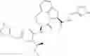 Fig. 32 - GRANZYME B DIRECTED IMAGING AND THERAPY