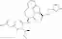 Fig. 33 - GRANZYME B DIRECTED IMAGING AND THERAPY