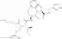 Fig. 34 - GRANZYME B DIRECTED IMAGING AND THERAPY