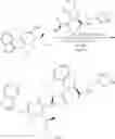Fig. 36 - GRANZYME B DIRECTED IMAGING AND THERAPY