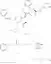 Fig. 41 - GRANZYME B DIRECTED IMAGING AND THERAPY