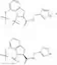 Fig. 70 - GRANZYME B DIRECTED IMAGING AND THERAPY