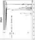 Fig. 10 - Silyl ether-containing sulfonate salt