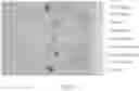 Fig. 18 - METHODS FOR PURIFICATION OF MESSENGER RNA