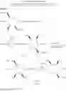 Fig. 188 - Mannose derivatives for treating bacterial infections