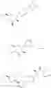 Fig. 262 - Mannose derivatives for treating bacterial infections
