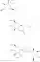 Fig. 285 - Mannose derivatives for treating bacterial infections