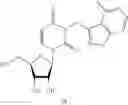 Fig. 101 - URIDINE NUCLEOSIDE DERIVATIVES, COMPOSITIONS AND METHODS OF USE