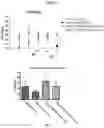 Fig. 11 - URIDINE NUCLEOSIDE DERIVATIVES, COMPOSITIONS AND METHODS OF USE
