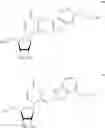 Fig. 113 - URIDINE NUCLEOSIDE DERIVATIVES, COMPOSITIONS AND METHODS OF USE