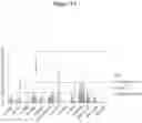 Fig. 18 - URIDINE NUCLEOSIDE DERIVATIVES, COMPOSITIONS AND METHODS OF USE