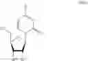 Fig. 16 - MODIFIED NUCLEOSIDE AND SYNTHETIC METHODS THEREOF