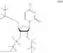 Fig. 19 - MODIFIED NUCLEOSIDE AND SYNTHETIC METHODS THEREOF