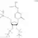 Fig. 20 - MODIFIED NUCLEOSIDE AND SYNTHETIC METHODS THEREOF