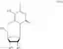 Fig. 26 - MODIFIED NUCLEOSIDE AND SYNTHETIC METHODS THEREOF