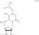 Fig. 28 - MODIFIED NUCLEOSIDE AND SYNTHETIC METHODS THEREOF