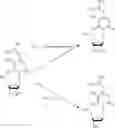 Fig. 31 - MODIFIED NUCLEOSIDE AND SYNTHETIC METHODS THEREOF