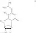 Fig. 43 - MODIFIED NUCLEOSIDE AND SYNTHETIC METHODS THEREOF