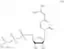 Fig. 50 - MODIFIED NUCLEOSIDE AND SYNTHETIC METHODS THEREOF