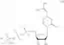 Fig. 52 - MODIFIED NUCLEOSIDE AND SYNTHETIC METHODS THEREOF