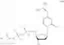 Fig. 53 - MODIFIED NUCLEOSIDE AND SYNTHETIC METHODS THEREOF