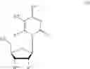 Fig. 58 - MODIFIED NUCLEOSIDE AND SYNTHETIC METHODS THEREOF