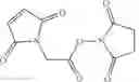 Fig. 19 - SYNTHESIS OF BICYCLE TOXIN CONJUGATES, AND INTERMEDIATES THEREOF