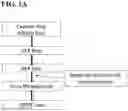Fig. 02 - PURIFICATION PLATFORMS FOR OBTAINING PHARMACEUTICAL COMPOSITIONS HAVING A REDUCED HYDROLYTIC ENZYME ACTIVITY RATE