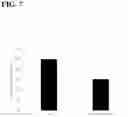 Fig. 12 - PURIFICATION PLATFORMS FOR OBTAINING PHARMACEUTICAL COMPOSITIONS HAVING A REDUCED HYDROLYTIC ENZYME ACTIVITY RATE