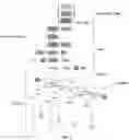Fig. 02 - ANTIBACTERIAL PEPTIDES AND METHODS OF USE