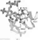 Fig. 08 - ANTIBACTERIAL PEPTIDES AND METHODS OF USE