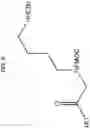 Fig. 10 - Peptoid-based chelating ligands for selective metal chelation