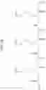 Fig. 20 - Peptoid-based chelating ligands for selective metal chelation