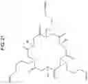 Fig. 22 - Peptoid-based chelating ligands for selective metal chelation