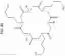 Fig. 23 - Peptoid-based chelating ligands for selective metal chelation