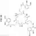 Fig. 27 - Peptoid-based chelating ligands for selective metal chelation