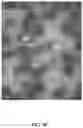 Fig. 14 - Virus-inspired compositions and methods of redirecting preexisting immune responses using the same for treatment of cancer