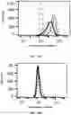 Fig. 26 - Virus-inspired compositions and methods of redirecting preexisting immune responses using the same for treatment of cancer