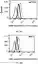 Fig. 28 - Virus-inspired compositions and methods of redirecting preexisting immune responses using the same for treatment of cancer