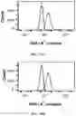Fig. 29 - Virus-inspired compositions and methods of redirecting preexisting immune responses using the same for treatment of cancer