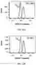 Fig. 31 - Virus-inspired compositions and methods of redirecting preexisting immune responses using the same for treatment of cancer